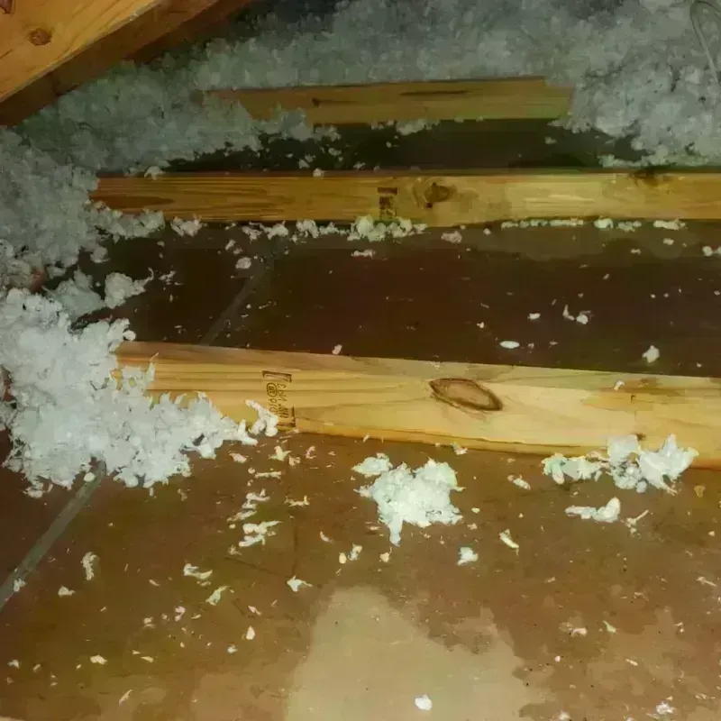 Attic Water Damage in Canyon Day, AZ