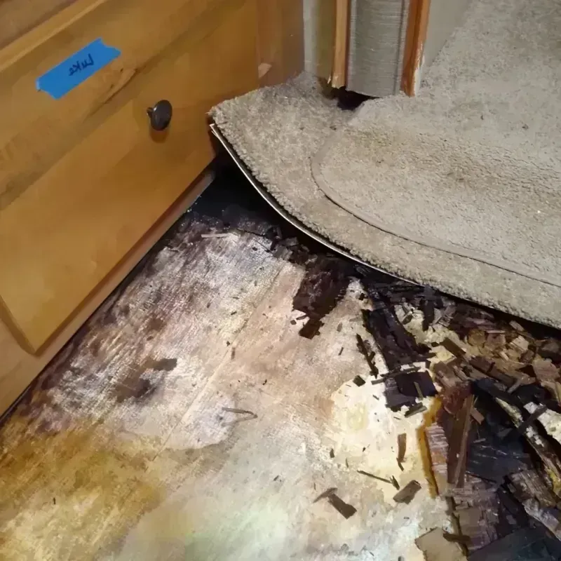 Wood Floor Water Damage in Canyon Day, AZ